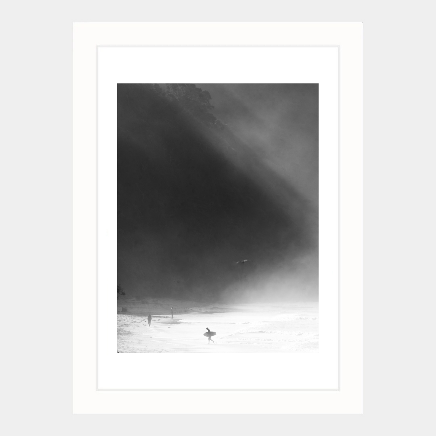 SURFER