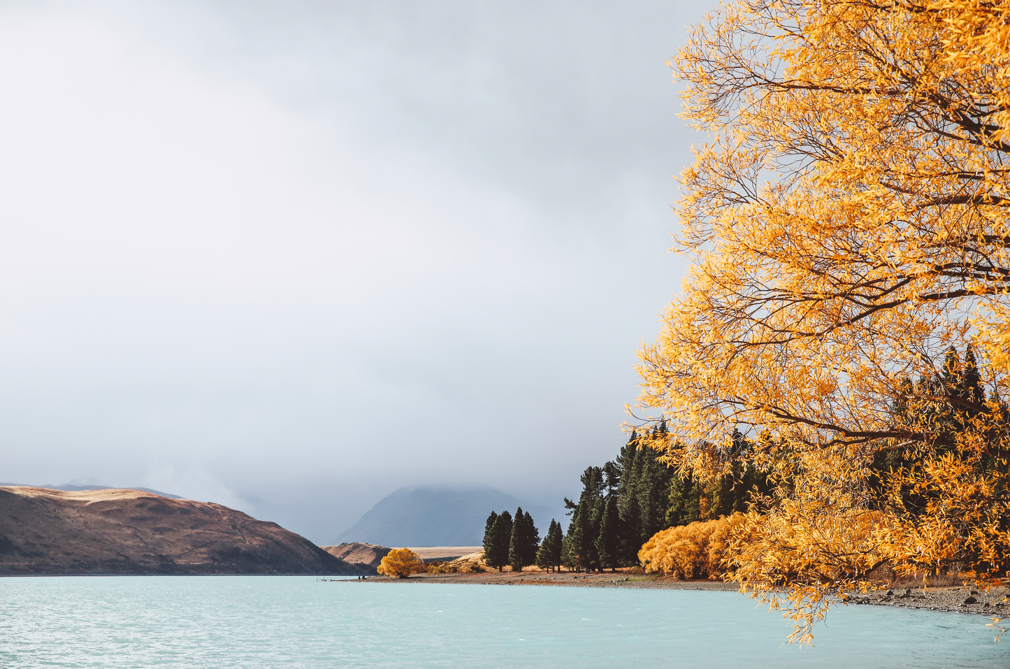 Lake Tekapo, New Zealand