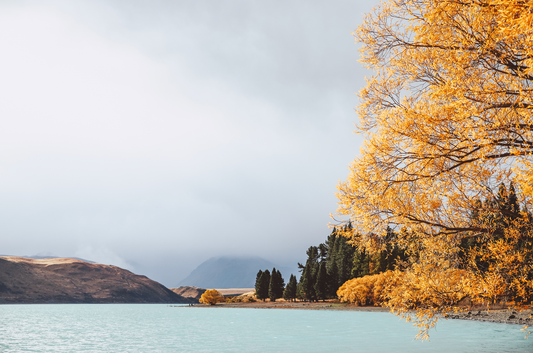 Lake Tekapo, New Zealand