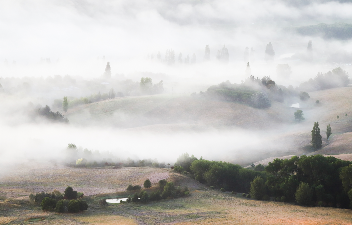 MORNING MIST