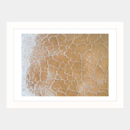 TEXTURE