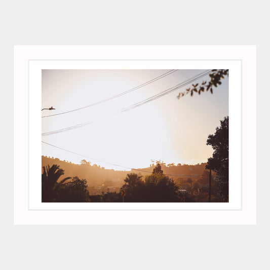 EVENING STROLL